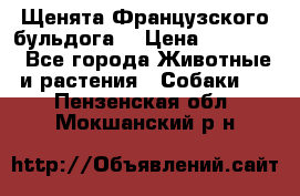 Щенята Французского бульдога. › Цена ­ 45 000 - Все города Животные и растения » Собаки   . Пензенская обл.,Мокшанский р-н
